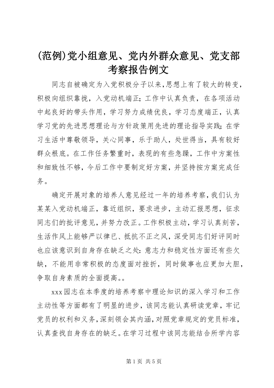 2023年范例党小组意见党内外群众意见党支部考察报告例文.docx_第1页