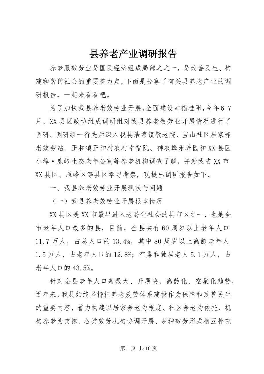 2023年县养老产业调研报告.docx_第1页