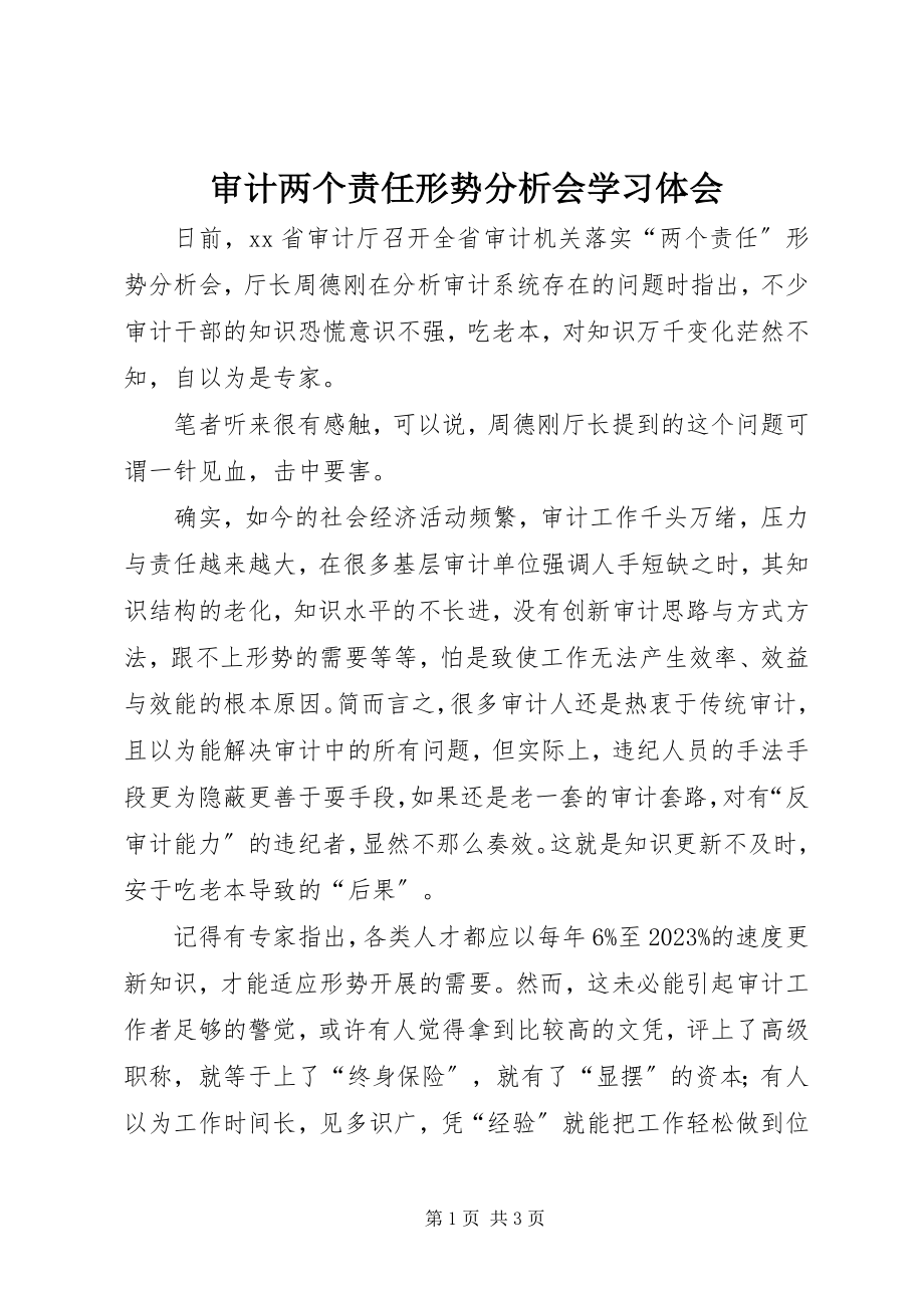 2023年审计两个责任形势分析会学习体会.docx_第1页