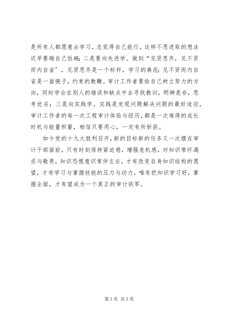 2023年审计两个责任形势分析会学习体会.docx_第3页