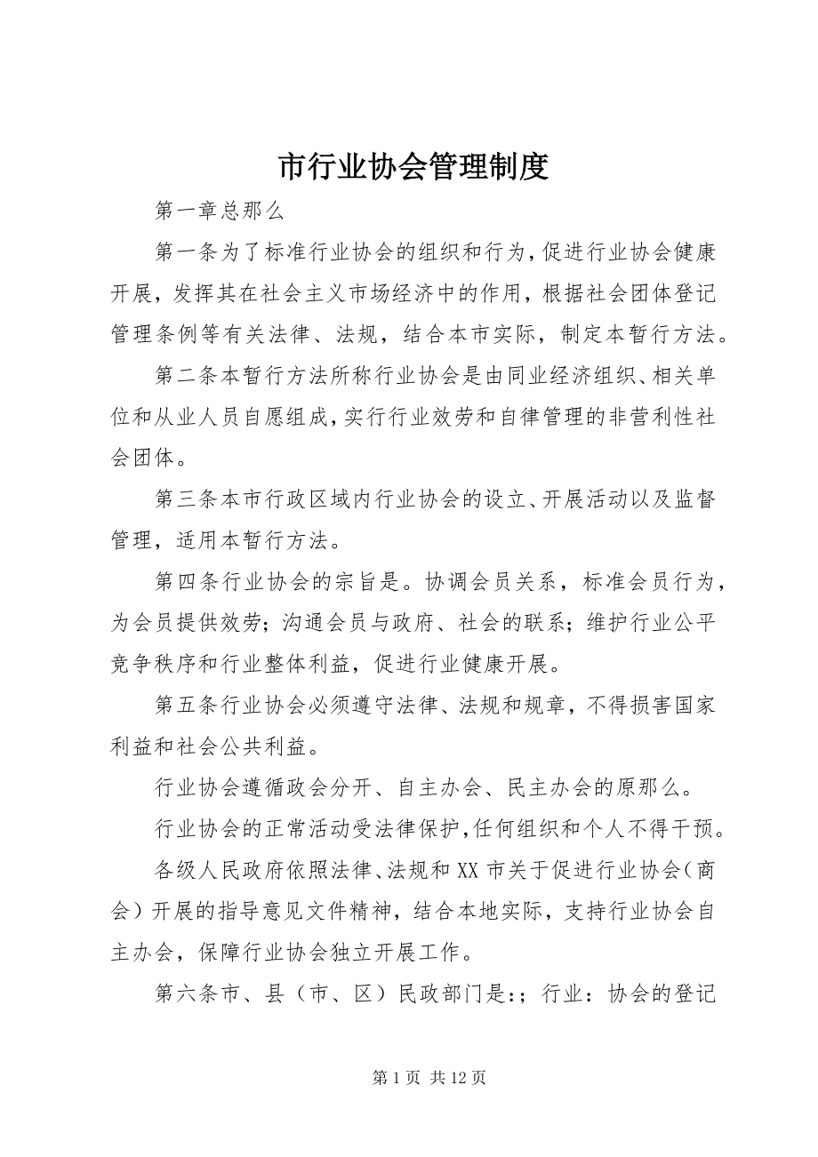 2023年市行业协会管理制度.docx_第1页