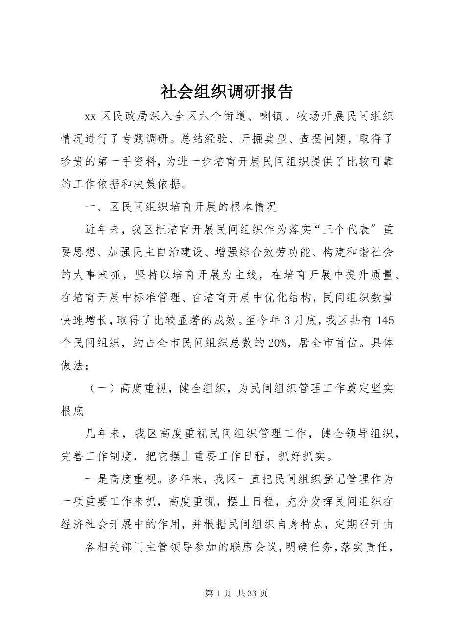 2023年社会组织调研报告.docx_第1页