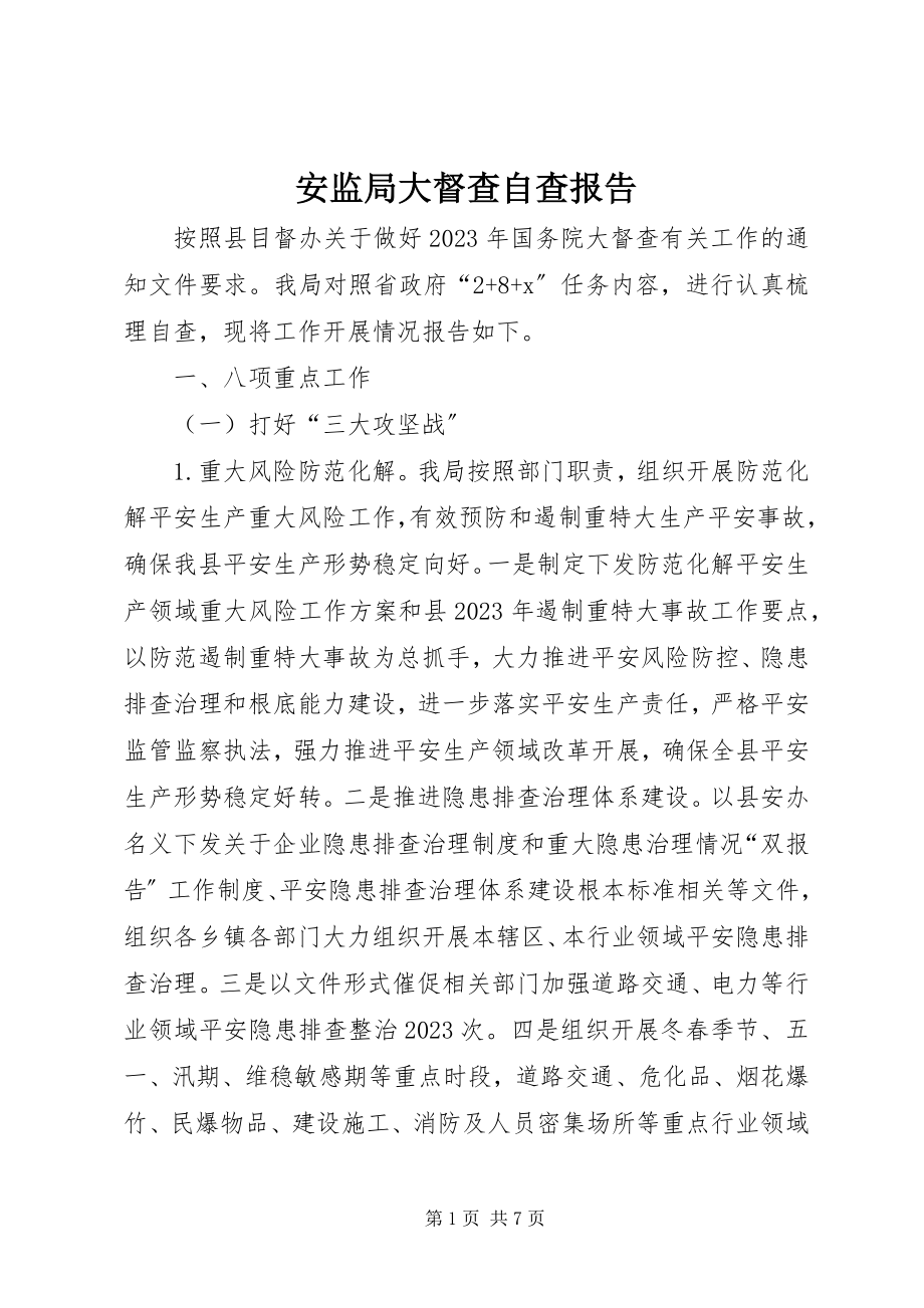 2023年安监局大督查自查报告新编.docx_第1页