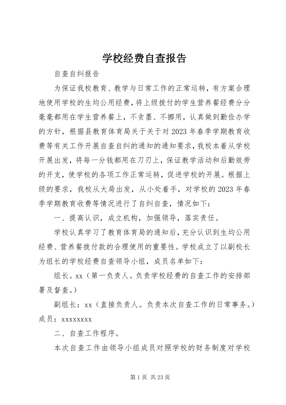 2023年学校经费自查报告.docx_第1页