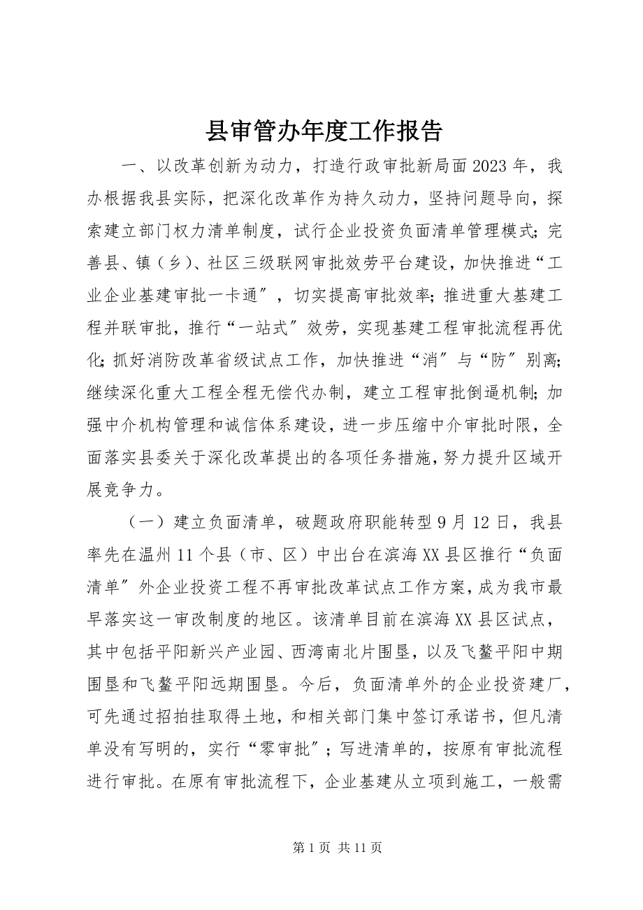 2023年县审管办年度工作报告.docx_第1页