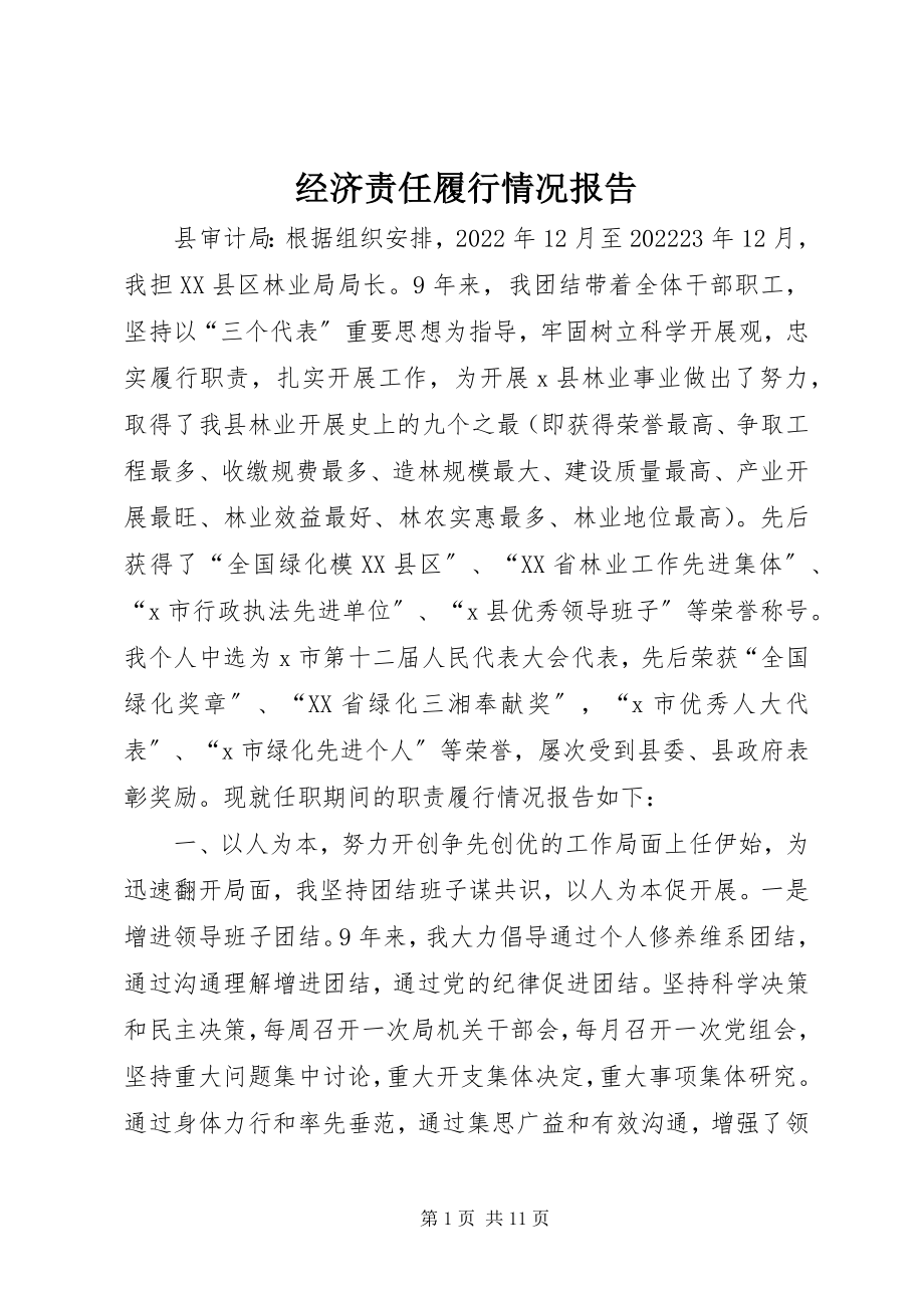 2023年经济责任履行情况报告.docx_第1页