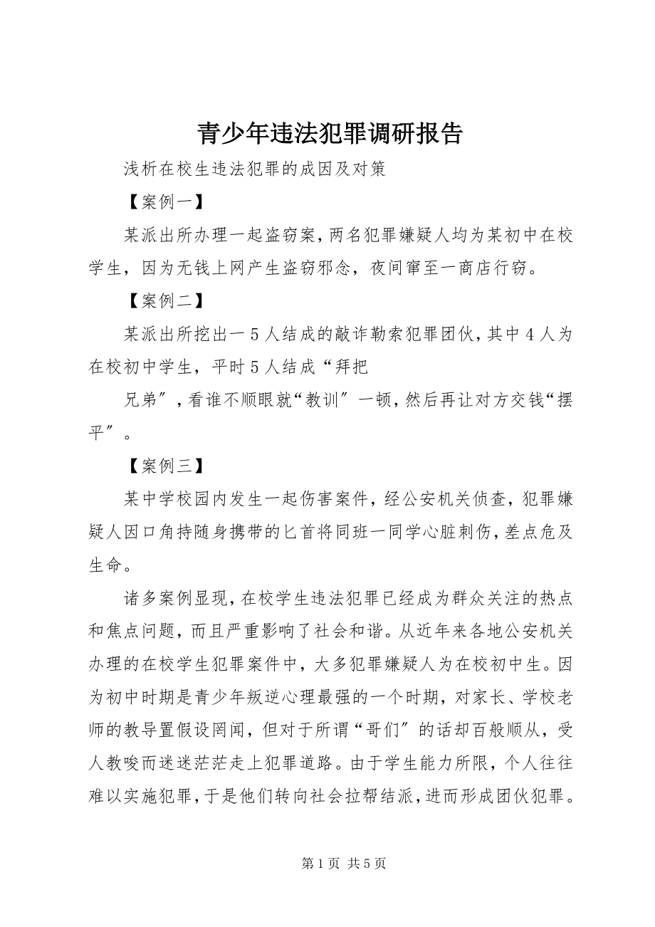 2023年青少年违法犯罪调研报告.docx_第1页