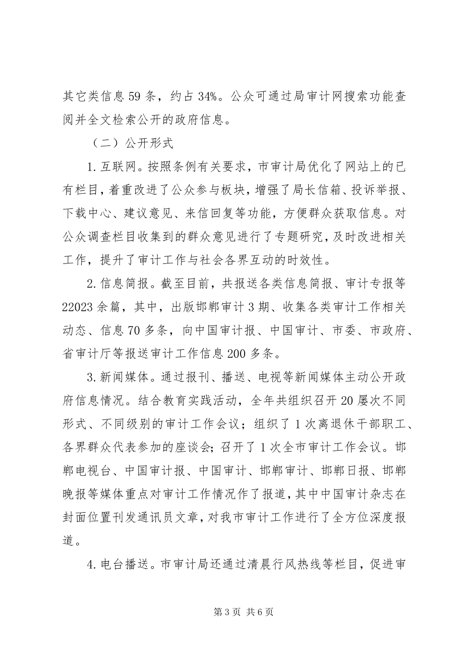 2023年市审计局政府信息公开工作报告.docx_第3页