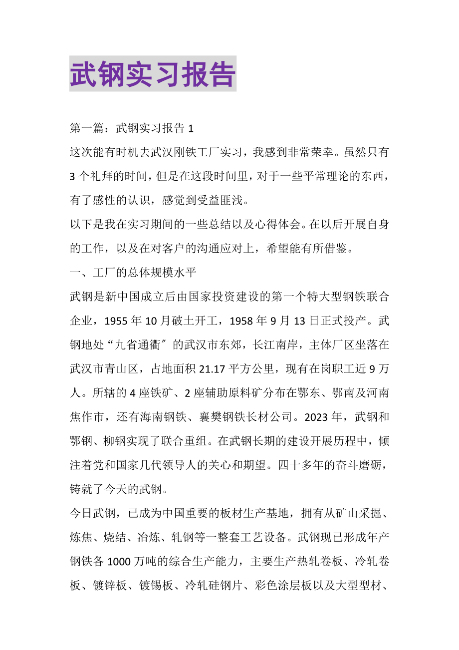 2023年武钢实习报告.doc_第1页