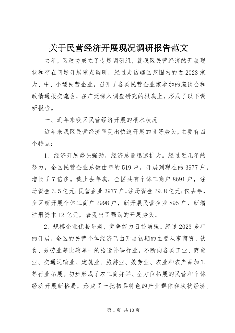 2023年民营经济发展现况调研报告.docx_第1页