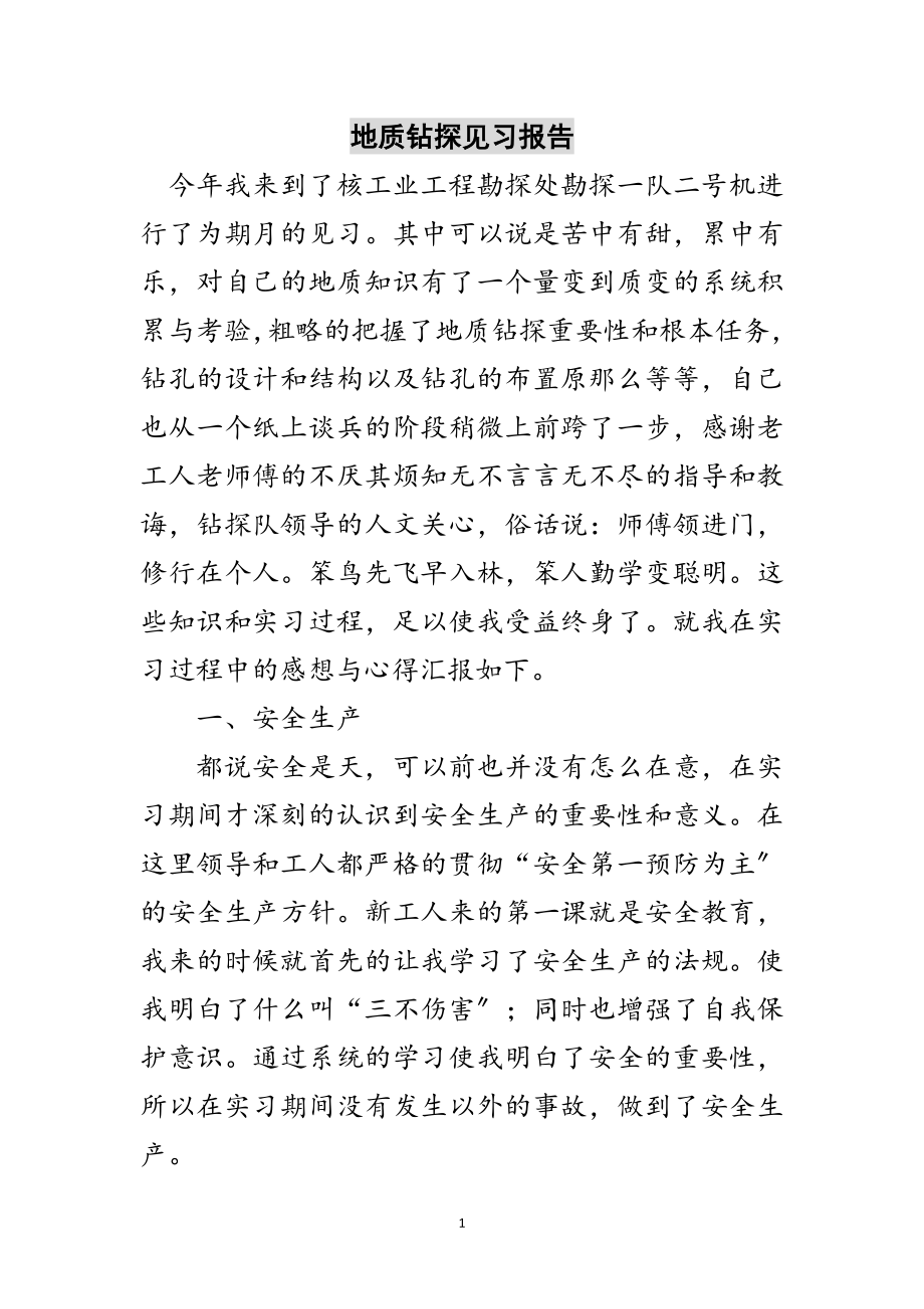 2023年地质钻探见习报告范文.doc_第1页