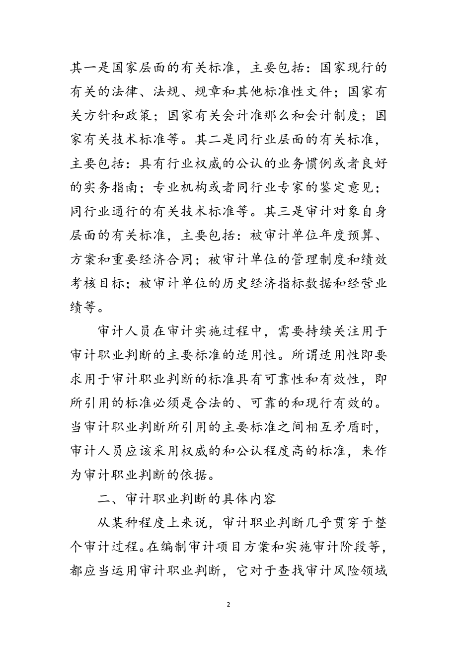 2023年审计人员职业判断调查报告范文.doc_第2页