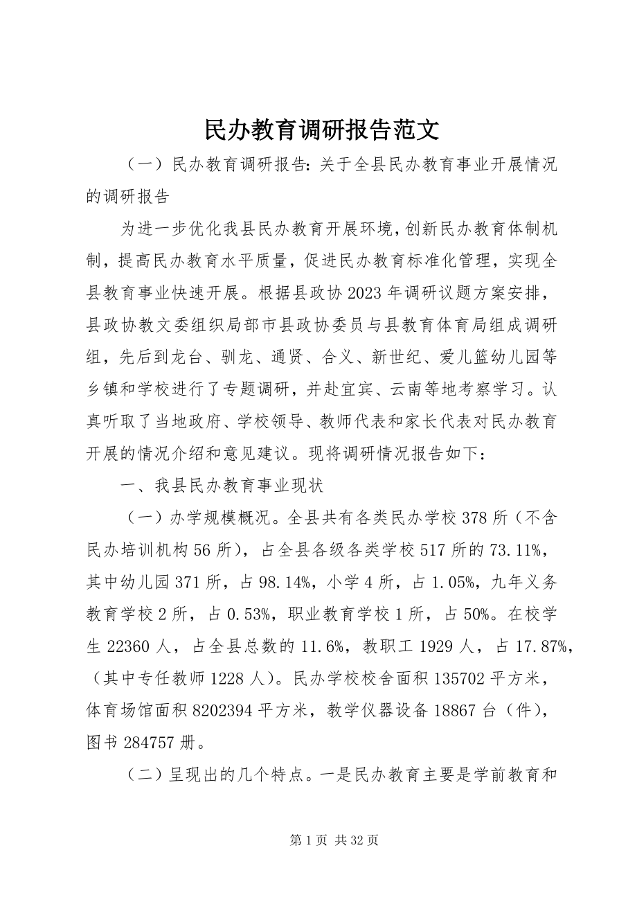 2023年民办教育调研报告.docx_第1页