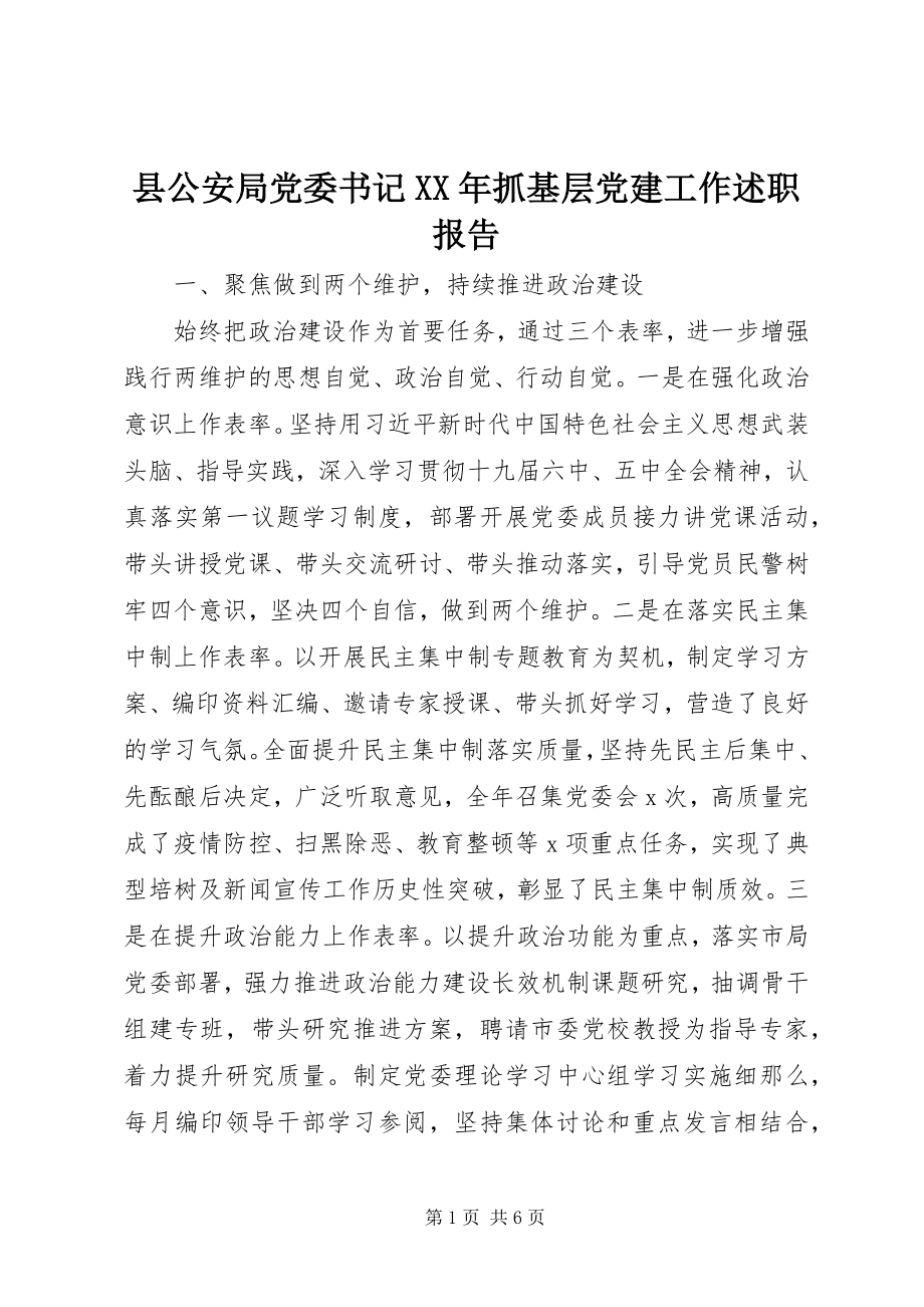 2023年县公安局党委书记抓基层党建工作述职报告.docx_第1页