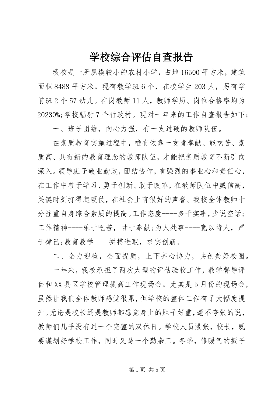 2023年学校综合评估自查报告.docx_第1页