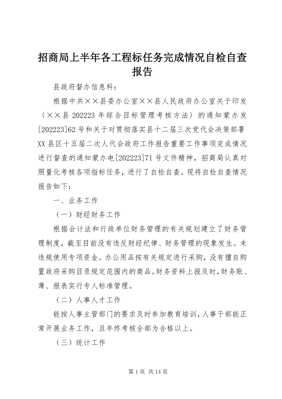 2023年招商局上半年各项目标任务完成情况自检自查报告.docx_第1页