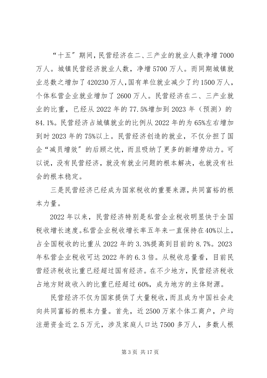 2023年民营经济分析会的致辞.docx_第3页