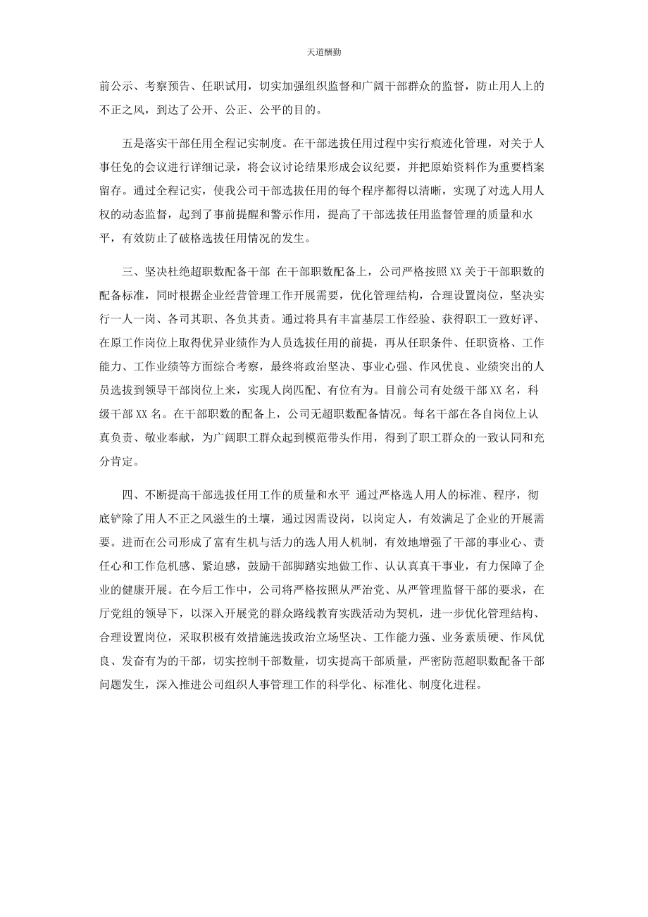 2023年干部队伍建设情况自查报告范文.docx_第2页