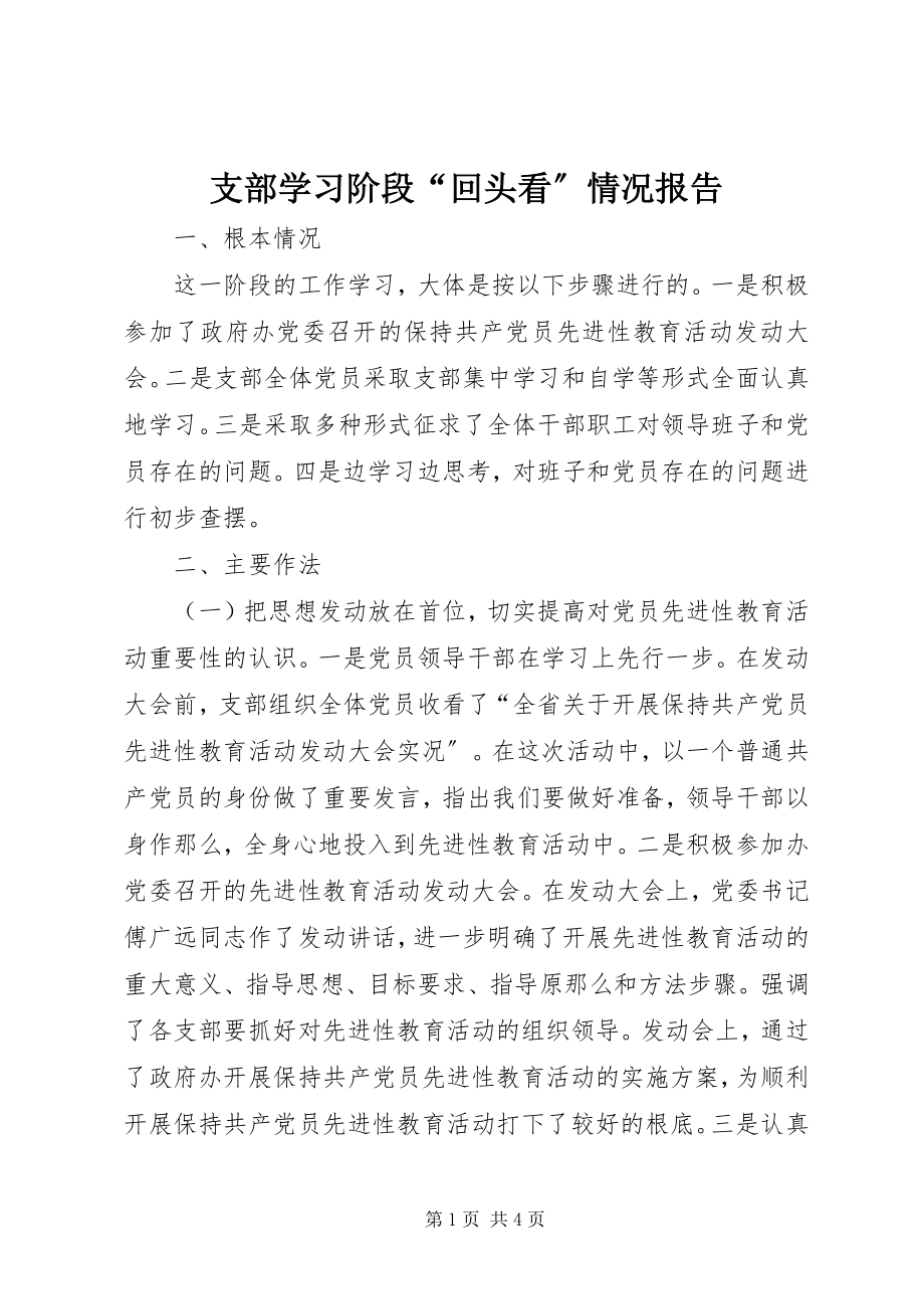 2023年支部学习阶段“回头看”情况报告.docx_第1页