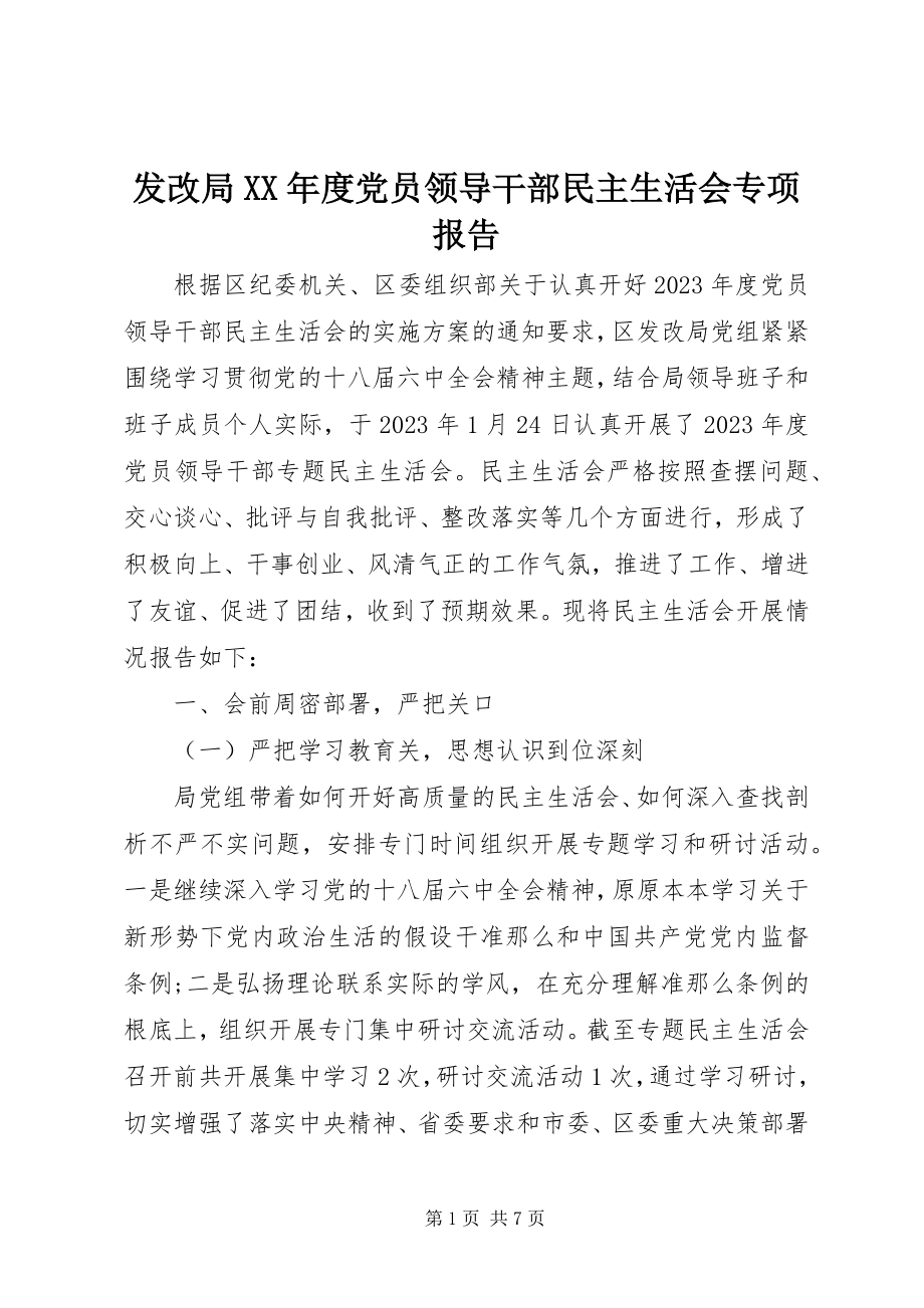 2023年发改局某年度党员领导干部民主生活会专项报告.docx_第1页