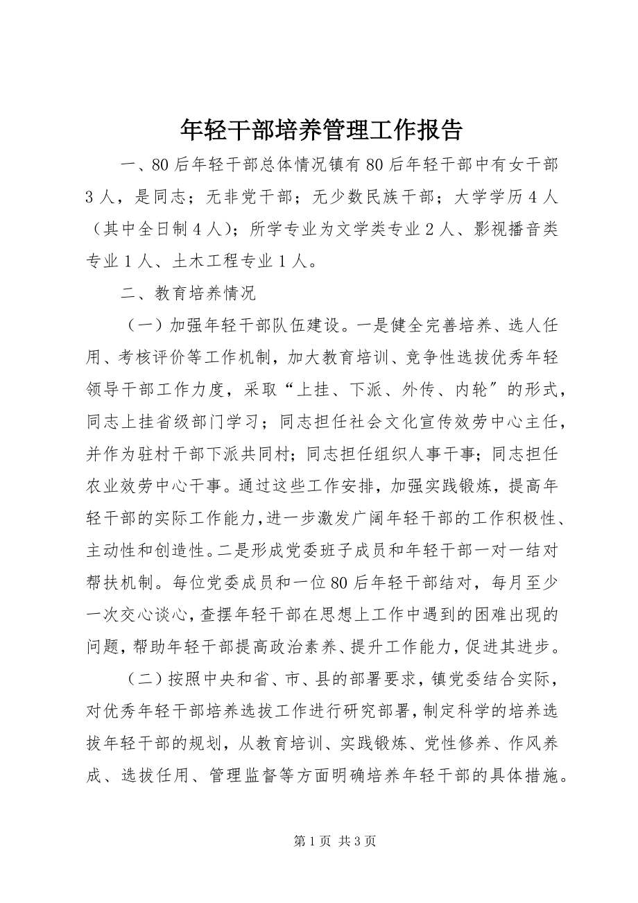 2023年轻干部培养管理工作报告.docx_第1页