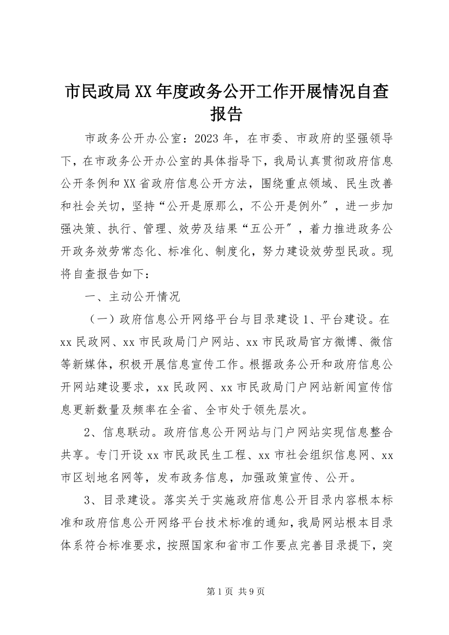 2023年市民政局度政务公开工作开展情况自查报告.docx_第1页