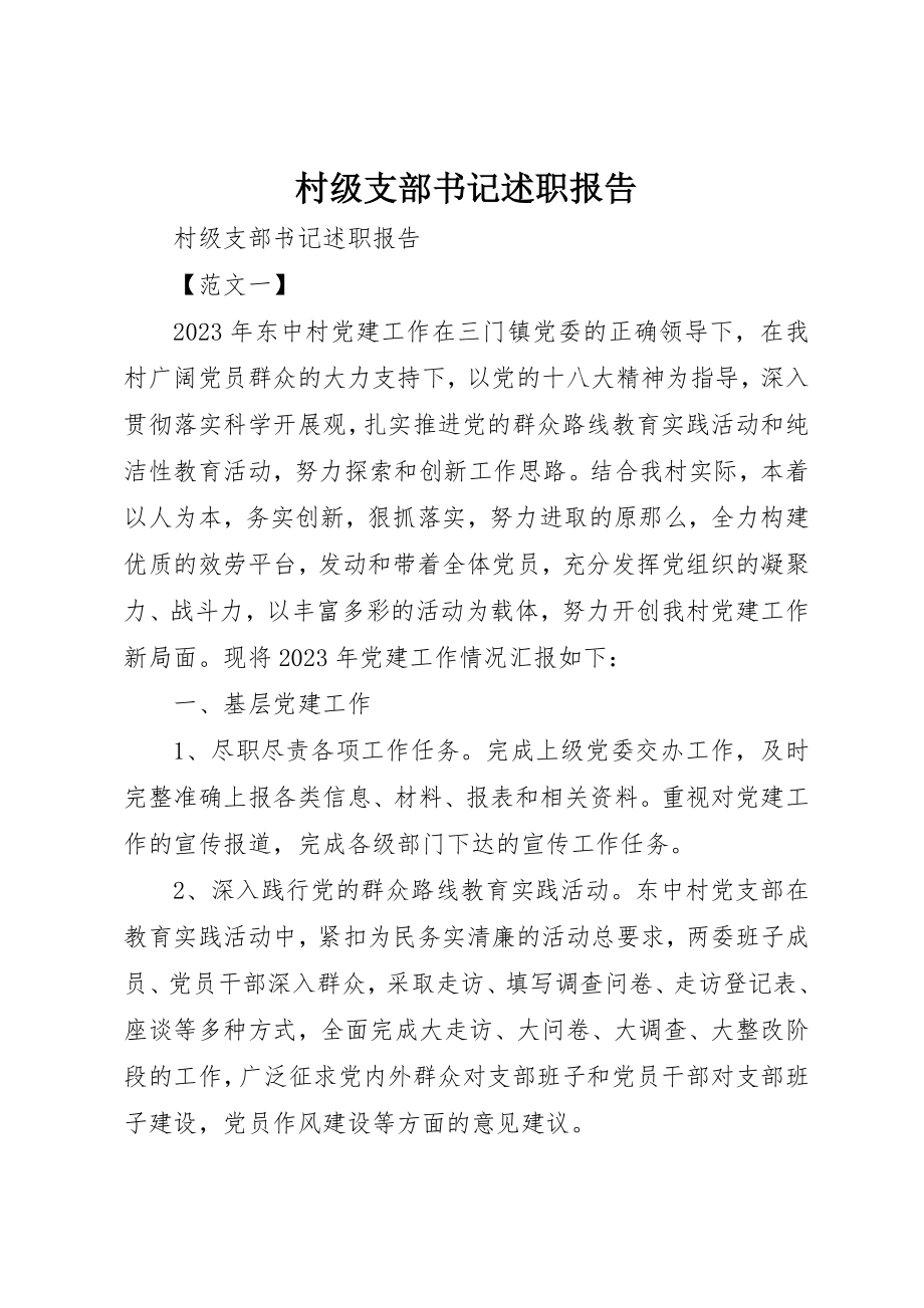 2023年村级支部书记述职报告新编.docx_第1页