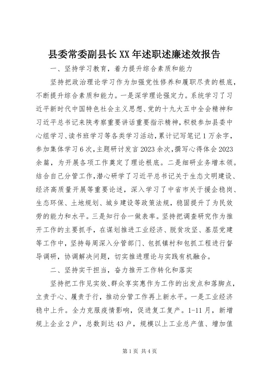 2023年县委常委副县长述职述廉述效报告3.docx_第1页