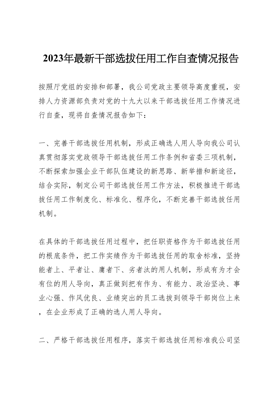 2023年年年干部选拔任用工作自查情况报告.doc_第1页