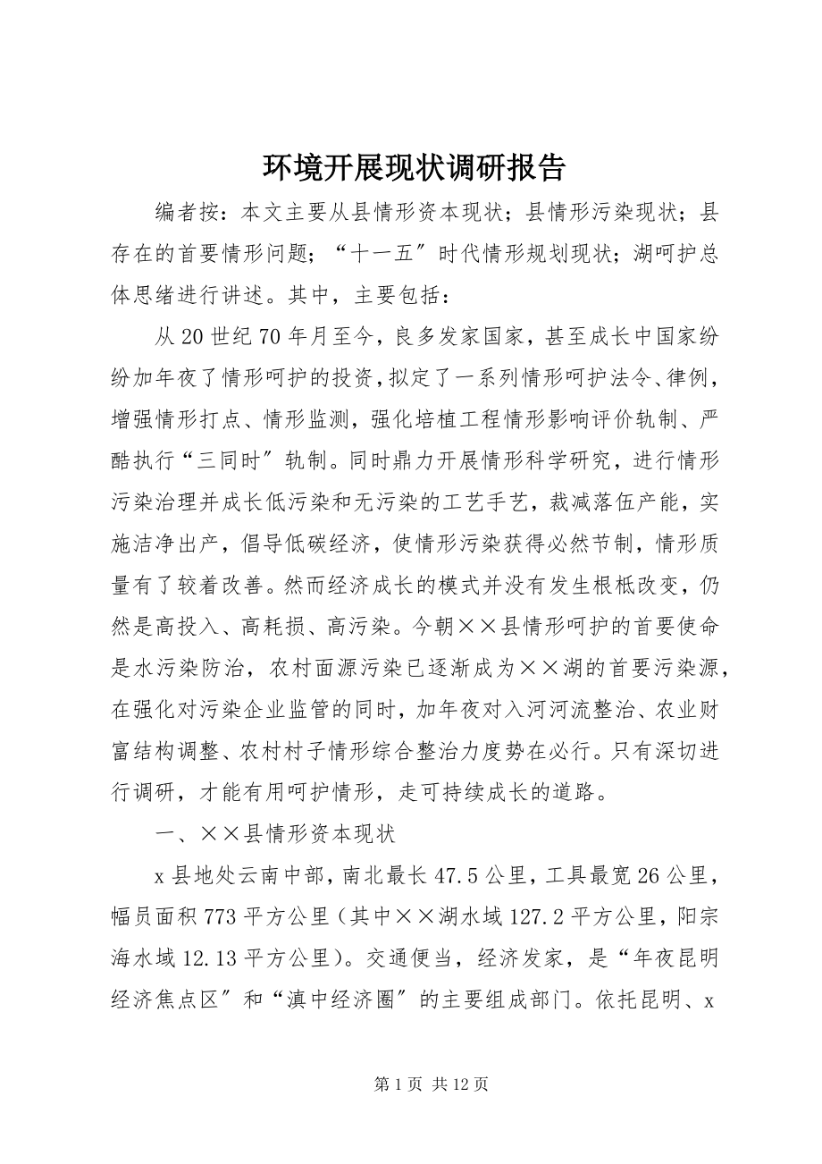 2023年环境发展现状调研报告.docx_第1页