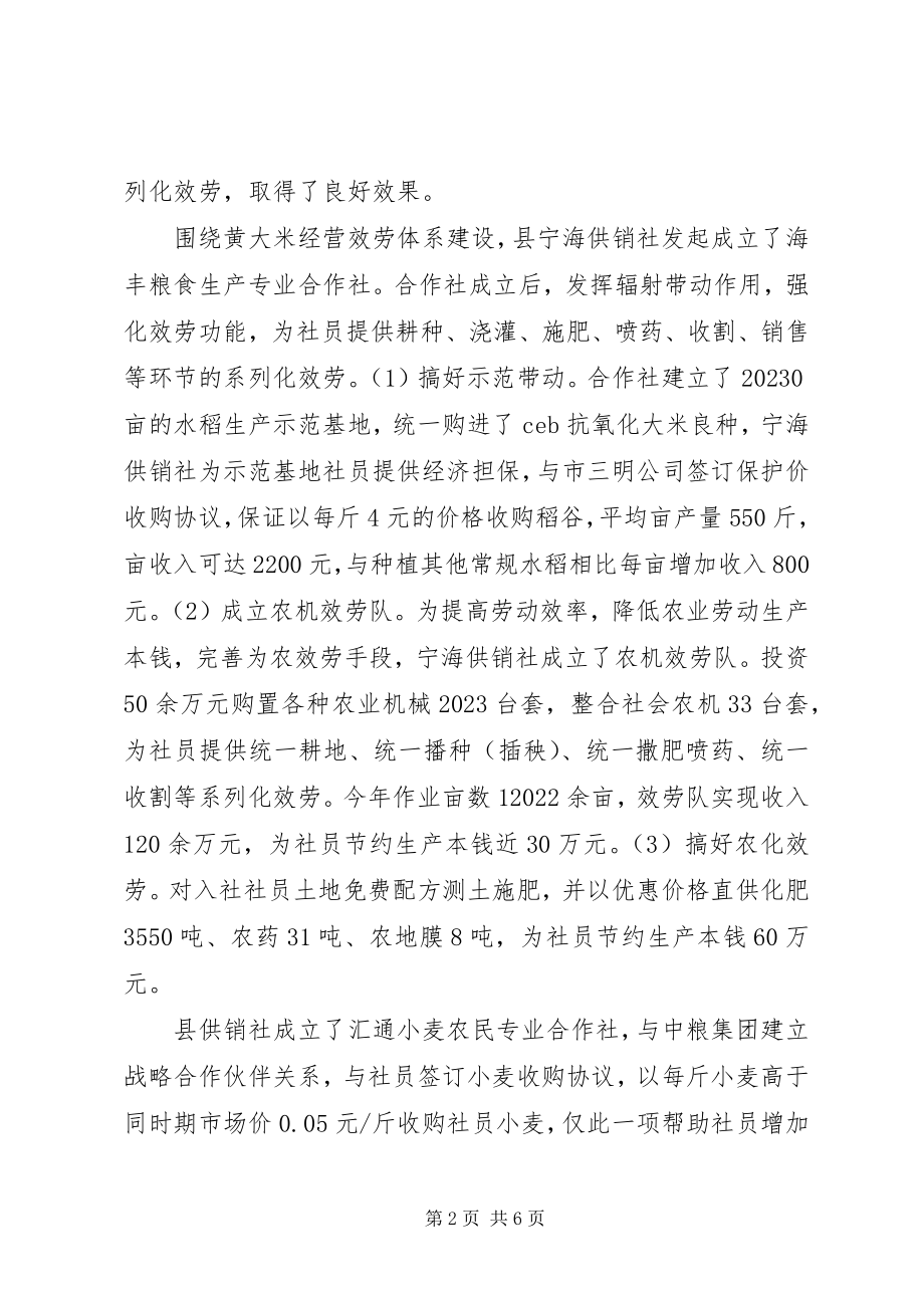 2023年市党委副主任工作述职报告.docx_第2页