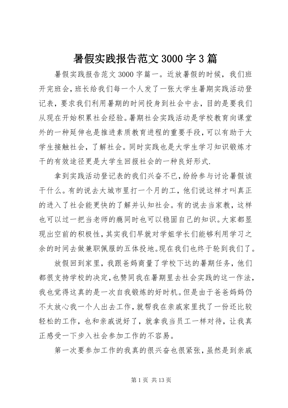 2023年暑假实践报告3000字3篇.docx_第1页