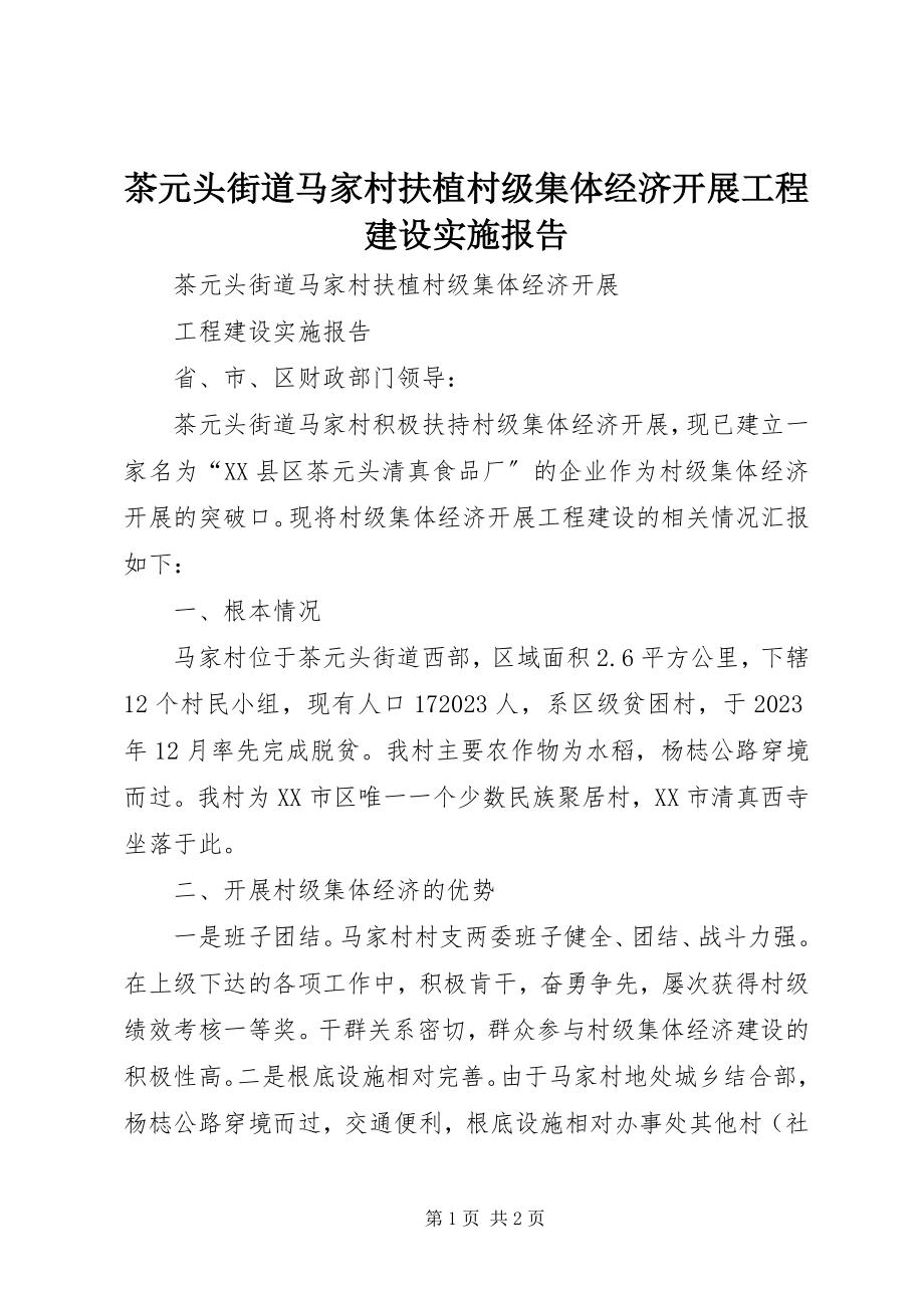 2023年茶元头街道马家村扶植村级集体经济发展项目建设实施报告.docx_第1页