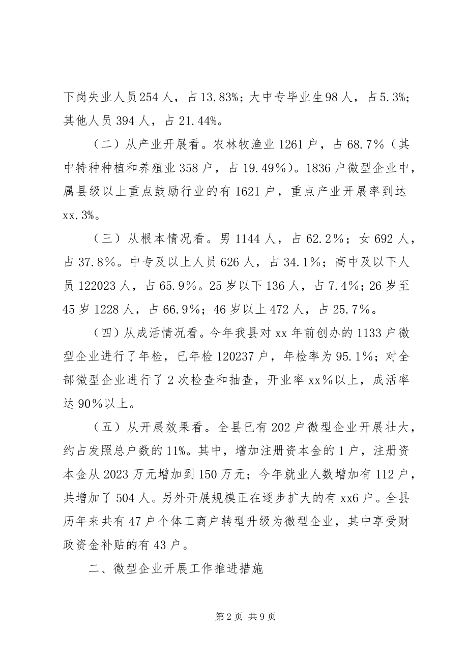 2023年微型企业发展工作情况报告.docx_第2页