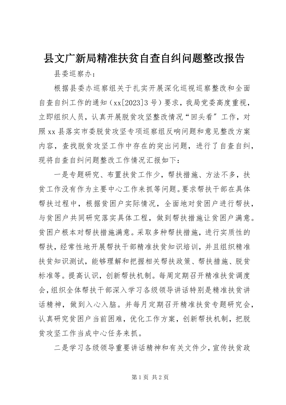 2023年县文广新局精准扶贫自查自纠问题整改报告.docx_第1页