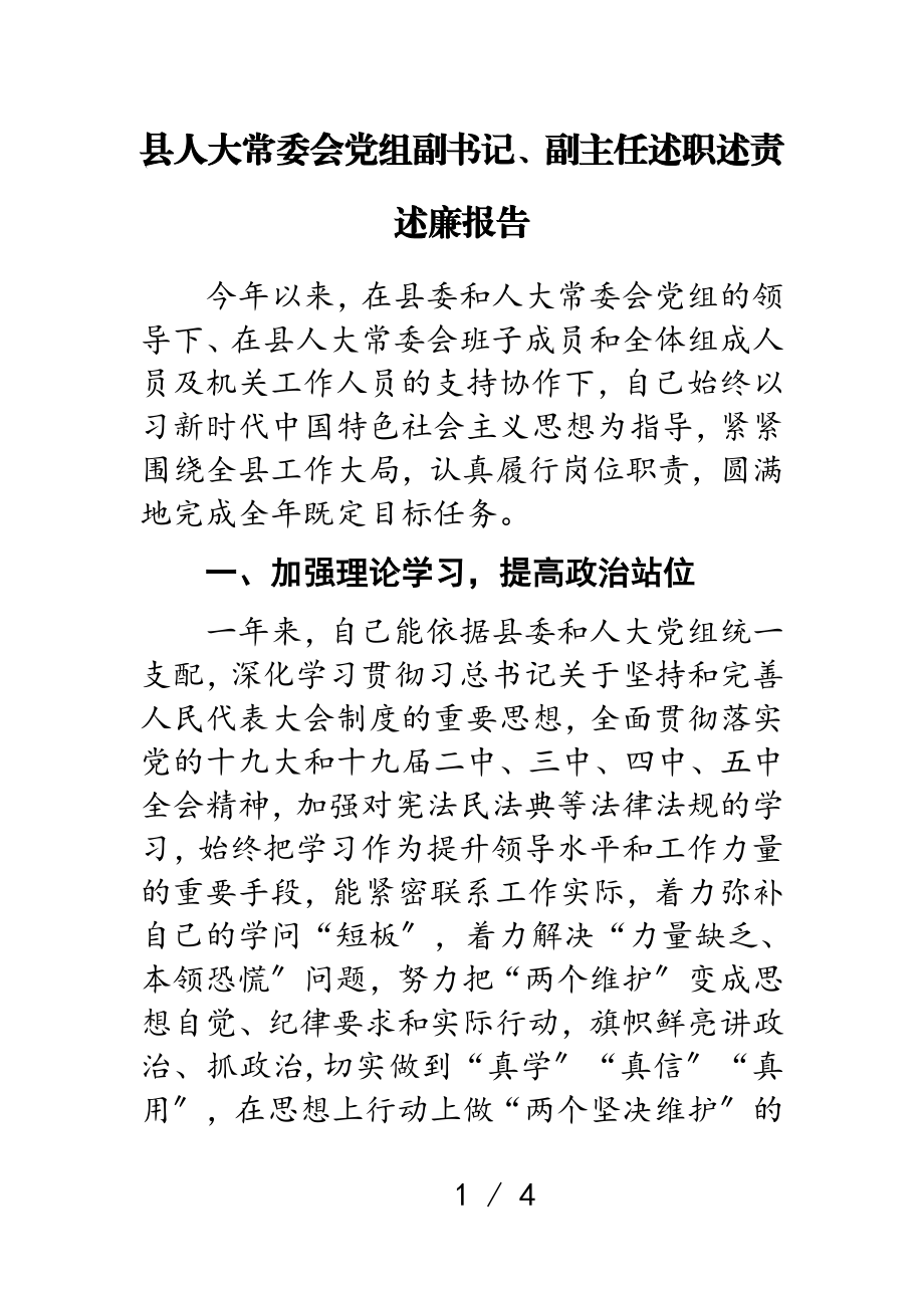 2023年县人大常委会党组副书记、副主任述职述责述廉报告.doc_第1页