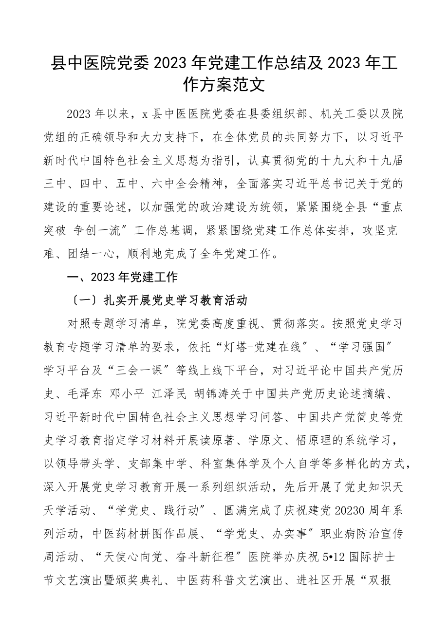 党建工作总结及工作计划工作汇报报告范文.docx_第1页