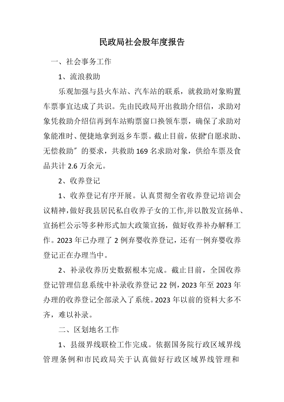 2023年民政局社会股年度报告.docx_第1页