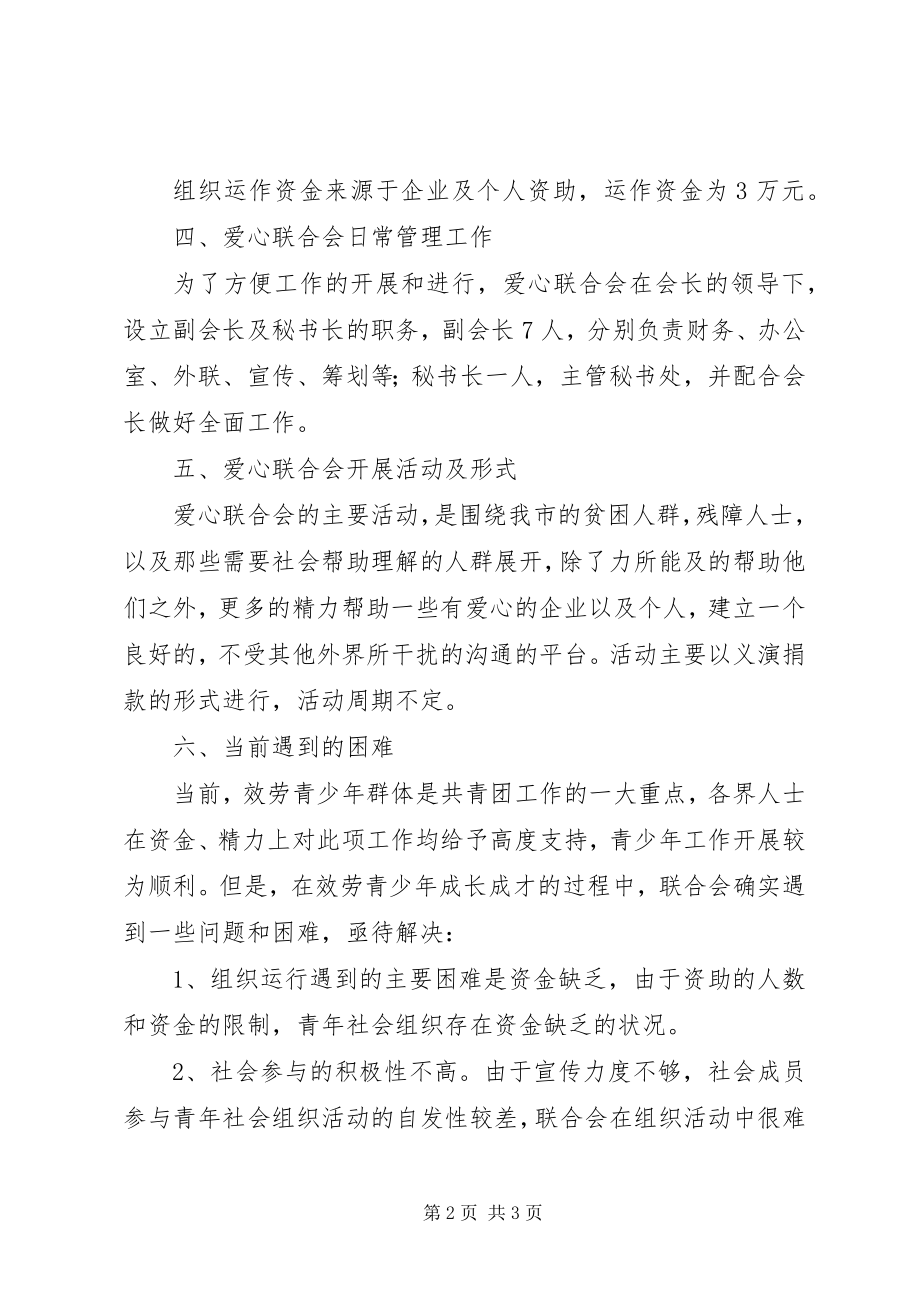 2023年青年社会组织工作调研报告.docx_第2页