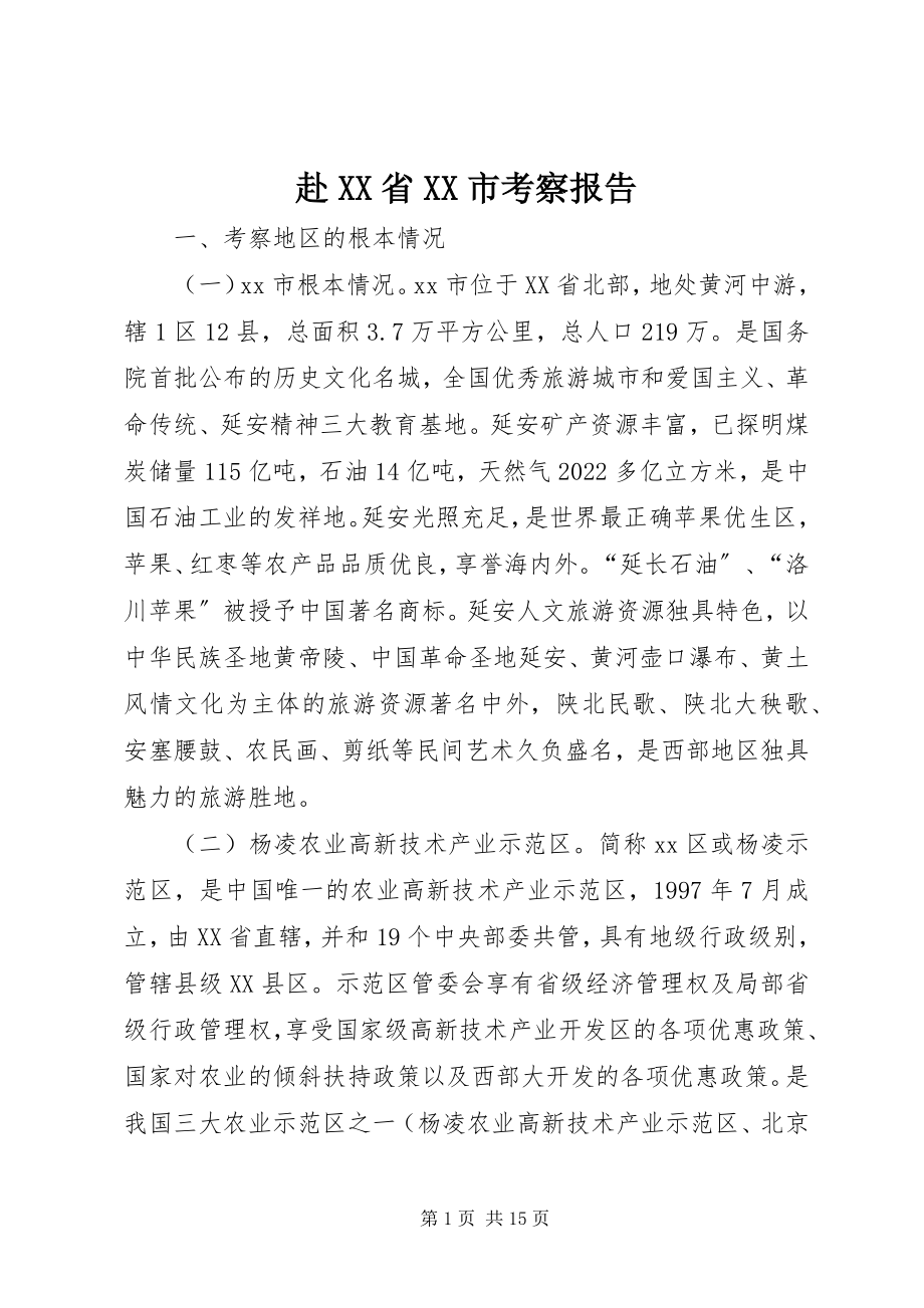 2023年赴XX省XX市考察报告.docx_第1页