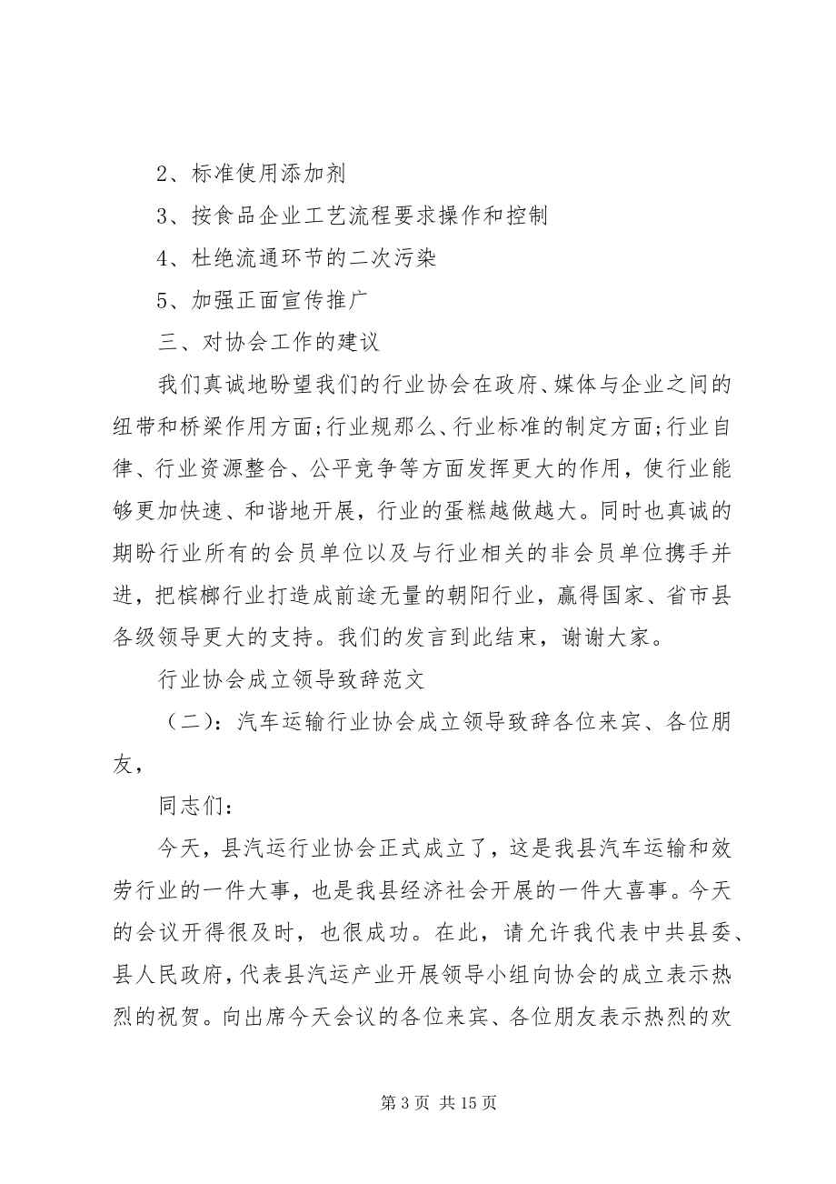 2023年行业协会成立领导致辞.docx_第3页