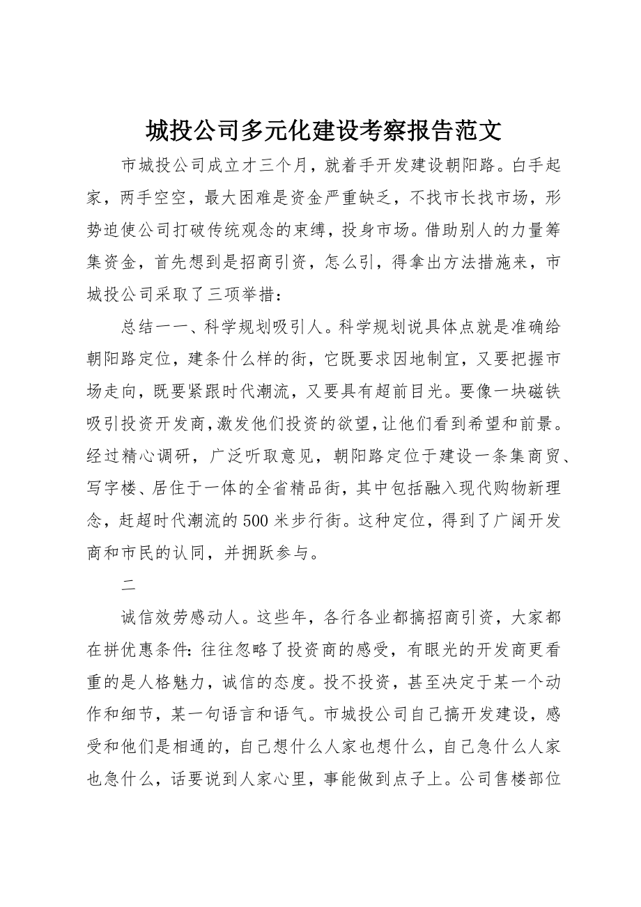 2023年城投公司多元化建设考察报告.docx_第1页