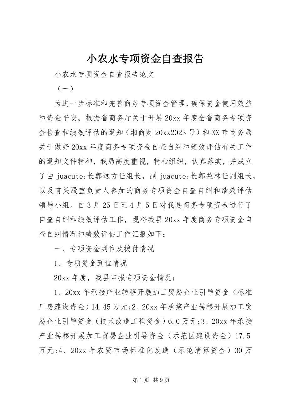 2023年小农水专项资金自查报告.docx_第1页