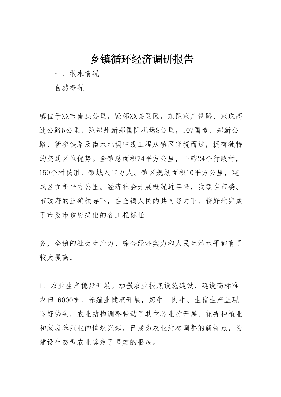 2023年年乡镇循环经济调研报告 .doc_第1页