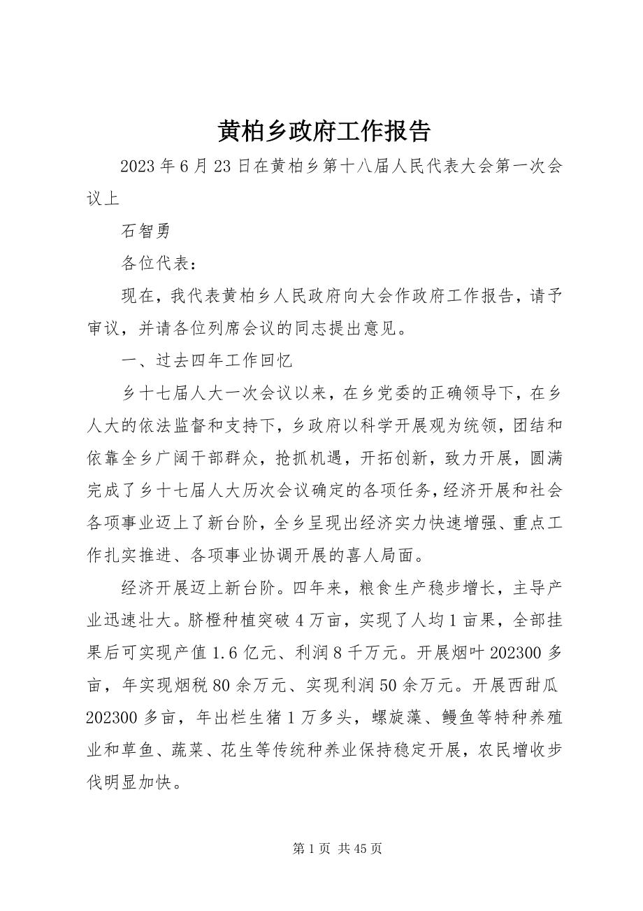 2023年黄柏乡政府工作报告.docx_第1页