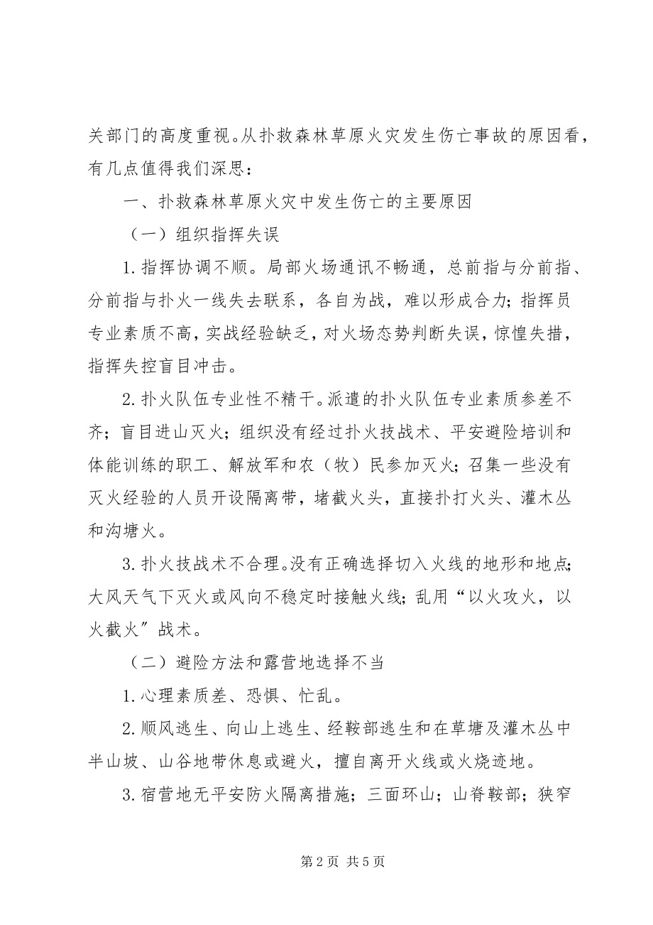 2023年扑救森林草原火灾发生伤亡事故的调研报告.docx_第2页