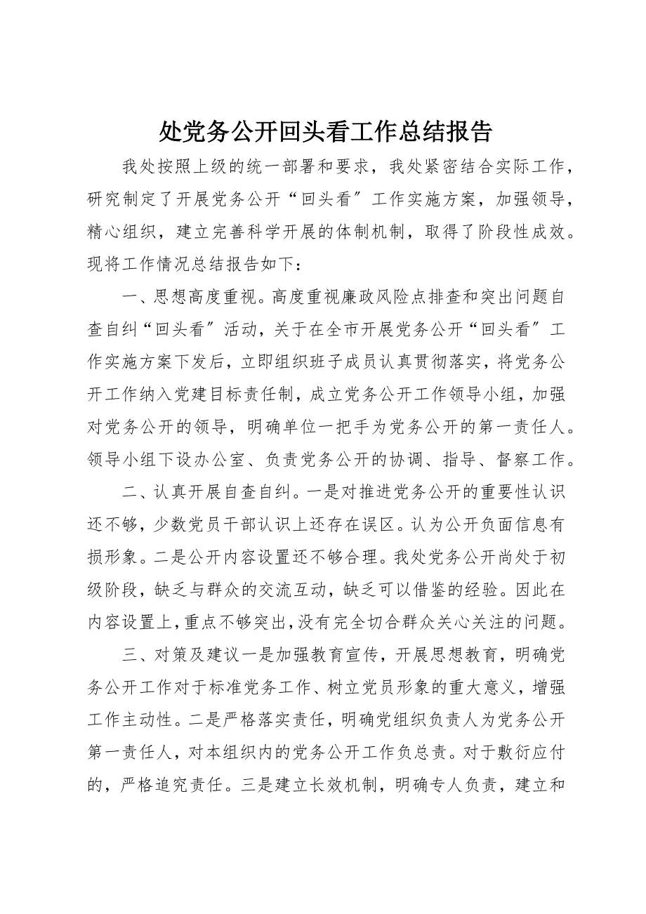 2023年处党务公开回头看工作总结报告.docx_第1页