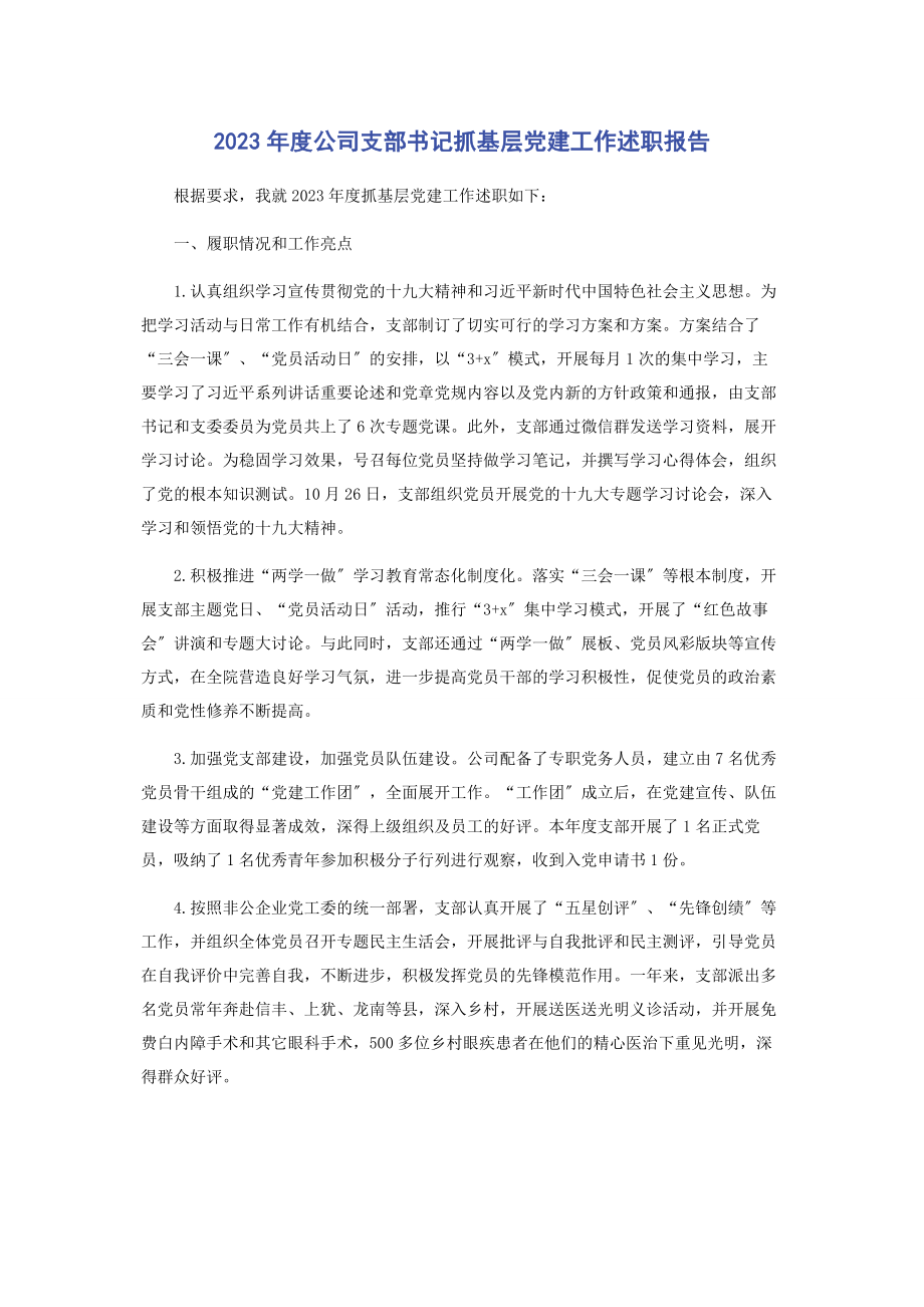 2023年度公司支部书记抓基层党建工作述职报告2.docx_第1页