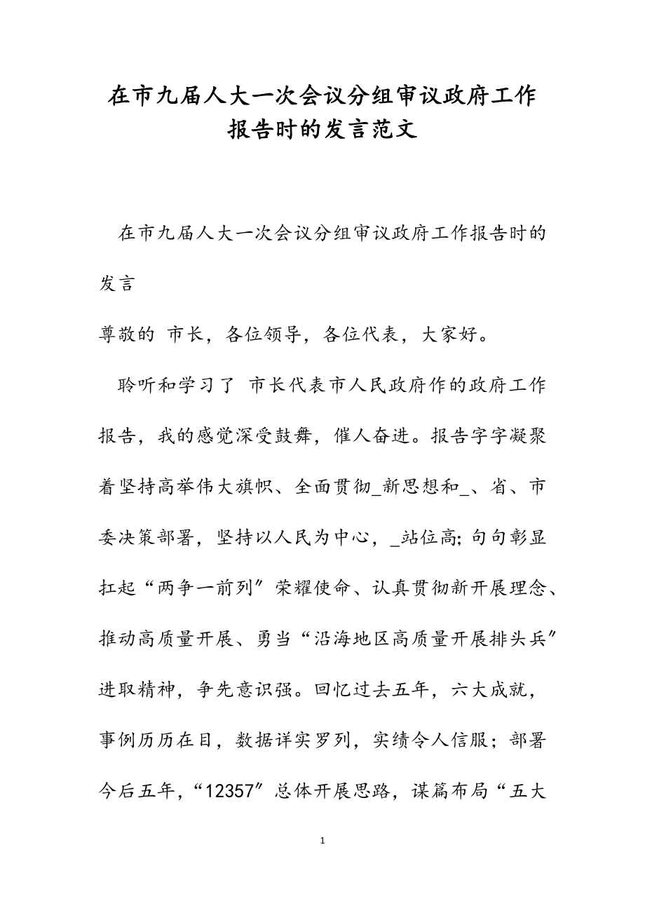 2023年在市九届人大一次会议分组审议《政府工作报告》时的发言.docx_第1页