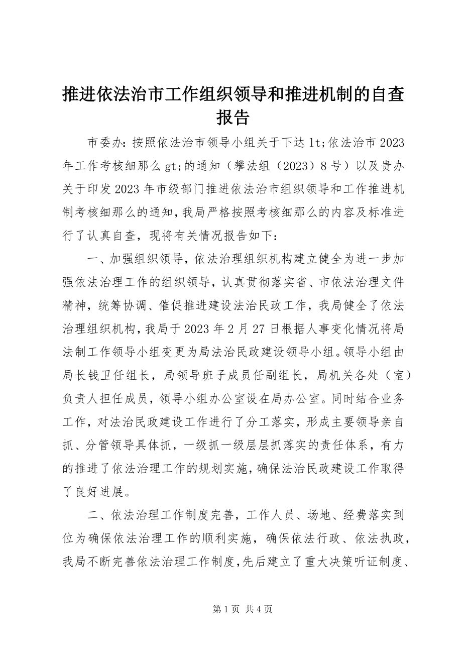 2023年推进依法治市工作组织领导和推进机制的自查报告.docx_第1页